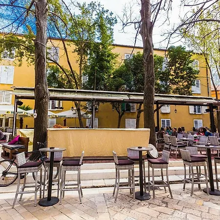 Viola Verde * Zadar